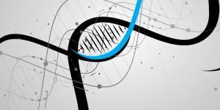 genetic information