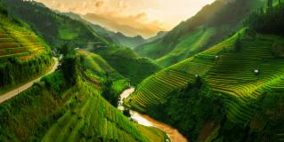 Vietnam