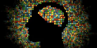 cognition