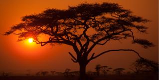 subsaharan Africa