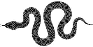 serpent