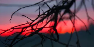 end of life