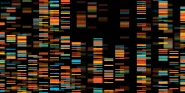 family genetic testing