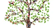 ancestry