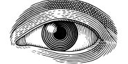 eye
