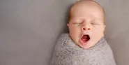 newborn