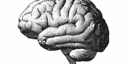 neurosurgery