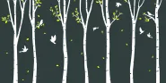 environment