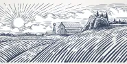rural medicine