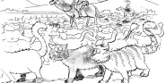 herding cats