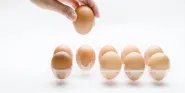 embryo selection