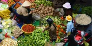 green chemoprevention