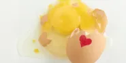 egg donors