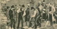 cholera 