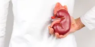 second kidney 