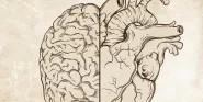 emotional intelligence