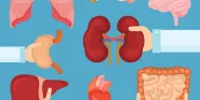 organ transplant