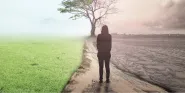 end of life