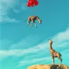 live donor risk
