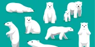 polarities