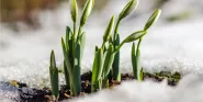 early signs