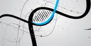 genetic information