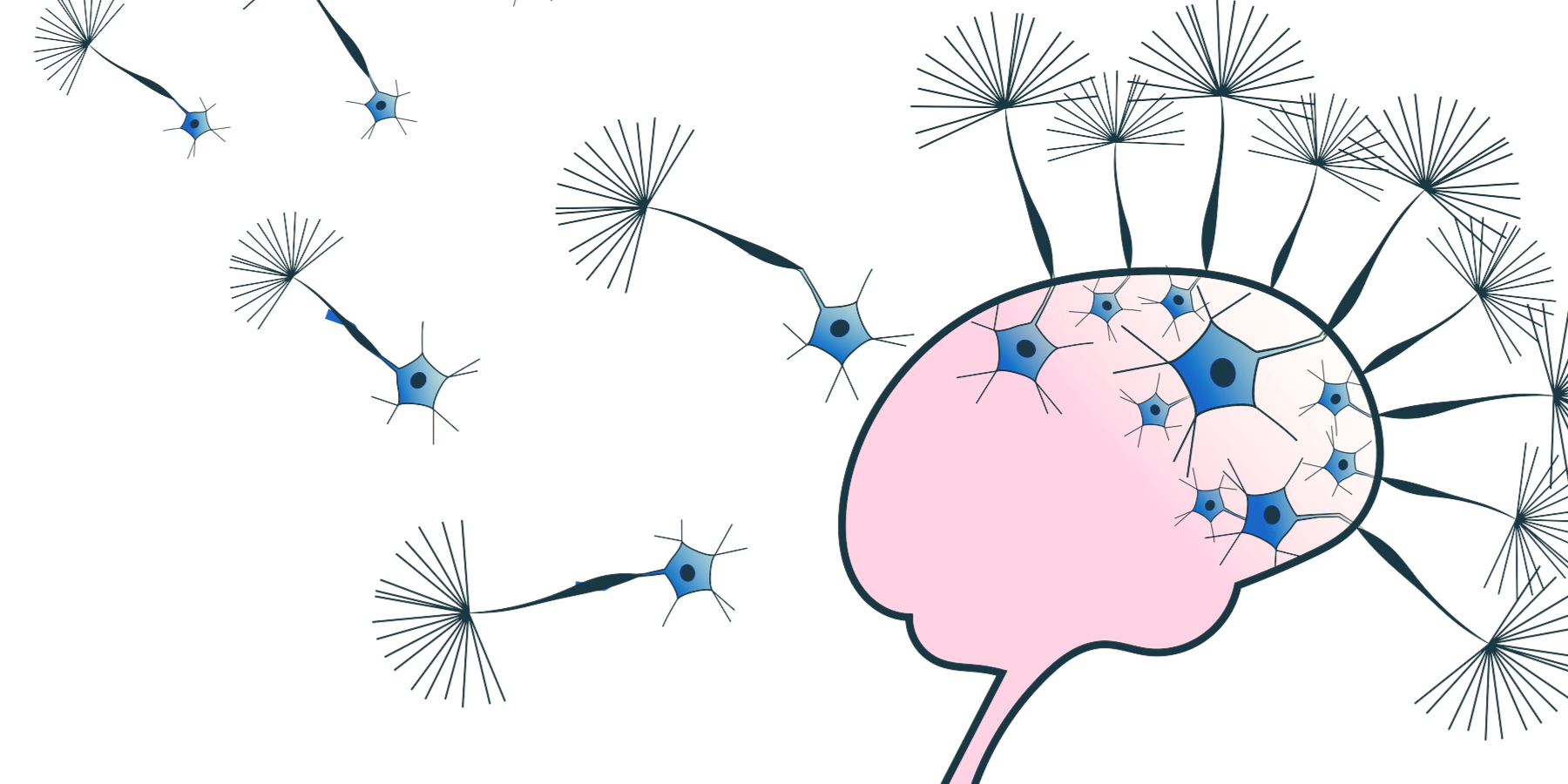 Differentiating among Depression, Delirium, and Dementia ...