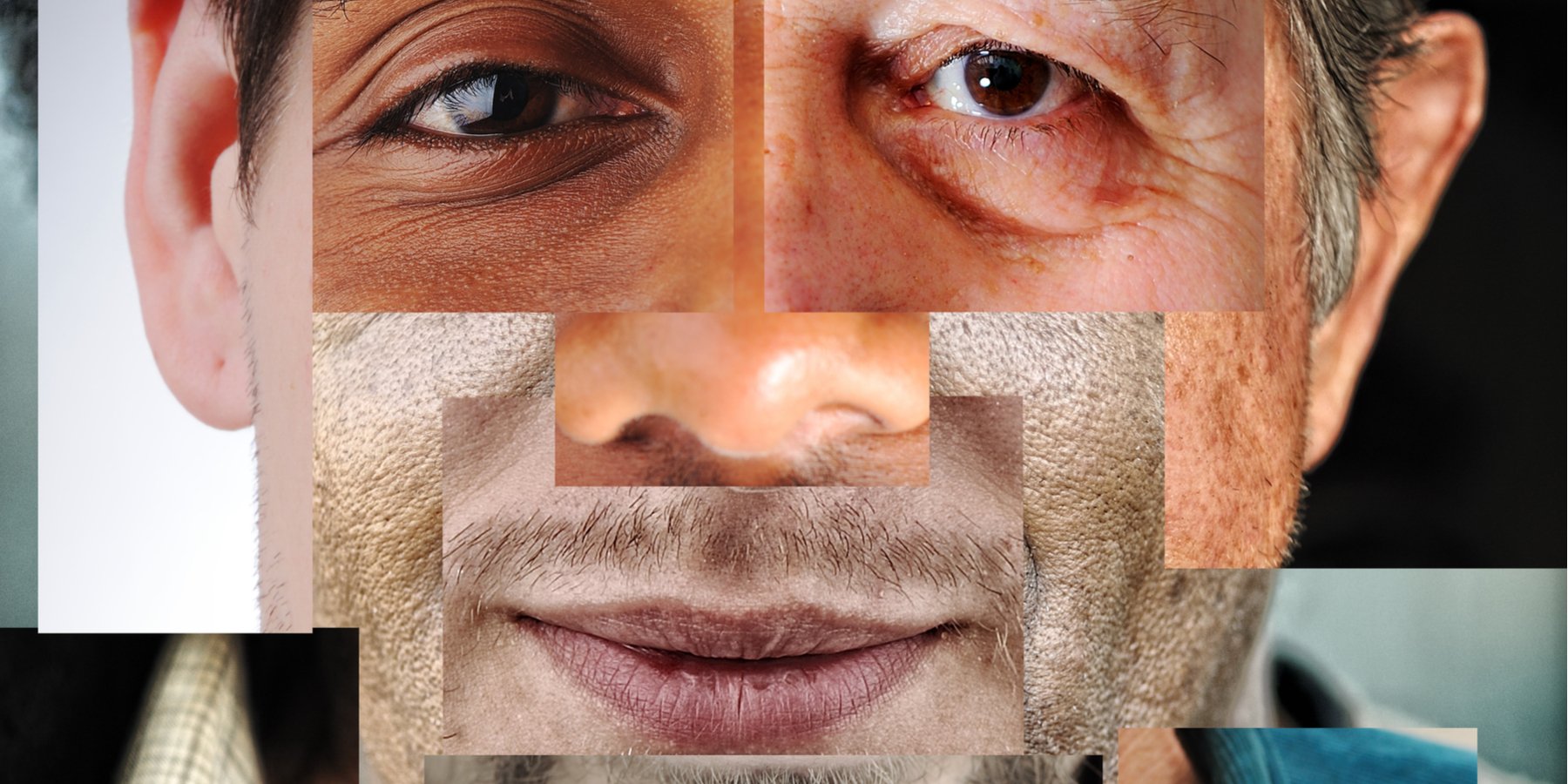 Face transplants essay picture