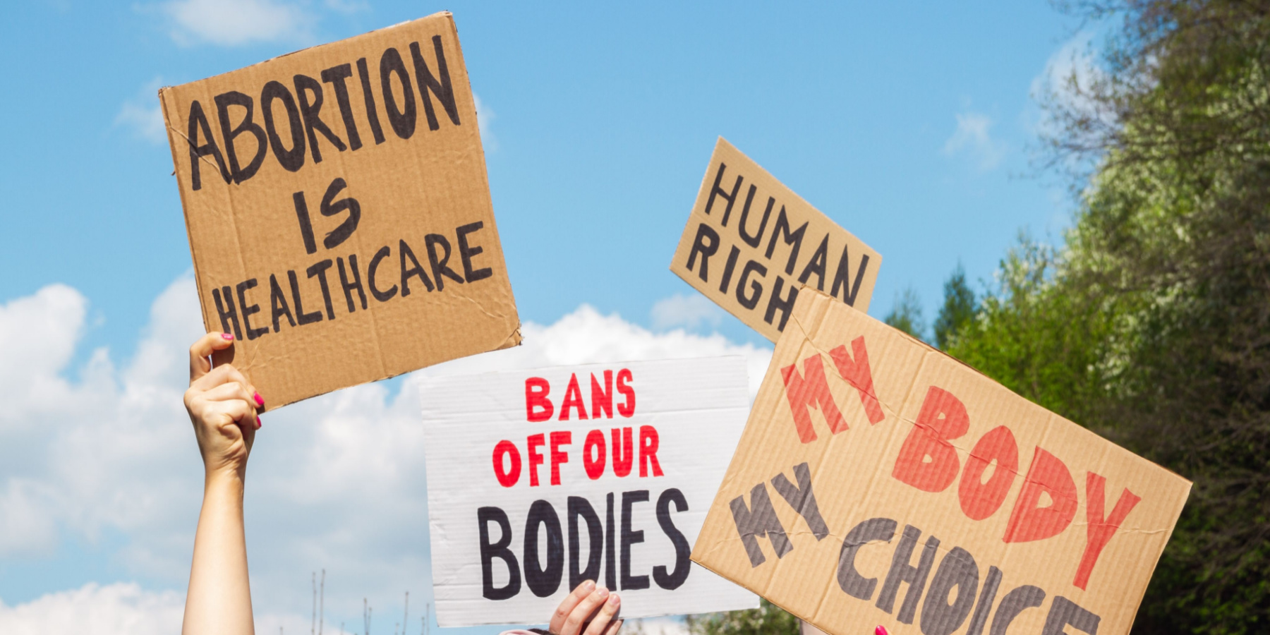 Author Interview “Why the PostRoe Era Requires Protecting