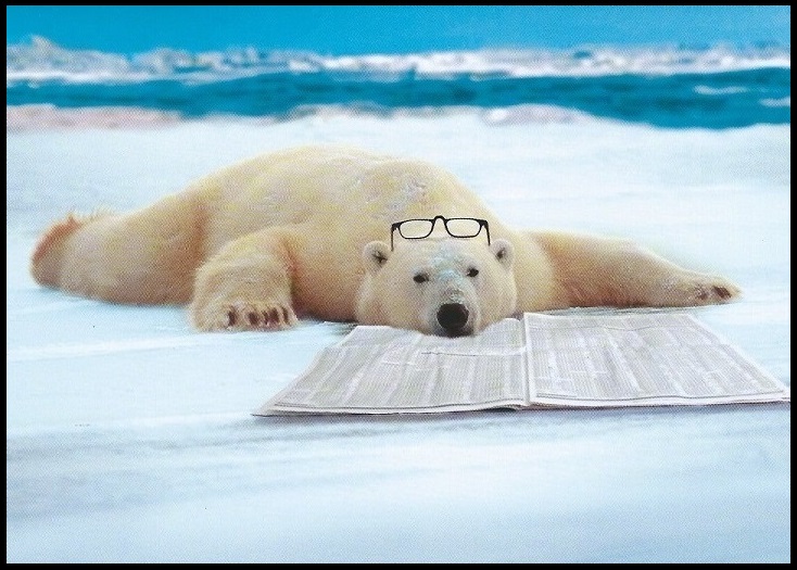 Polar bear Father's Day greeting card