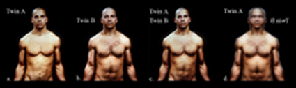 The native state of twin A; the native state of twin B.